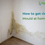 Mould at Home