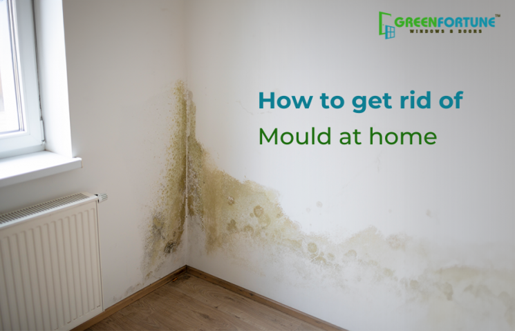 Mould at Home