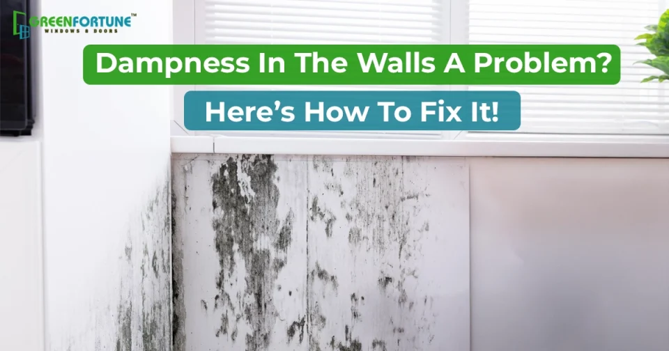 what is dampness