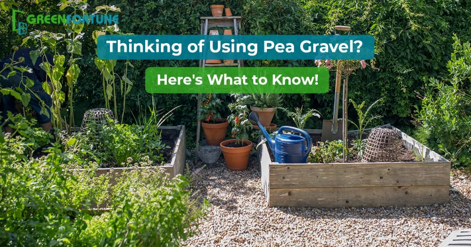 pea gravel