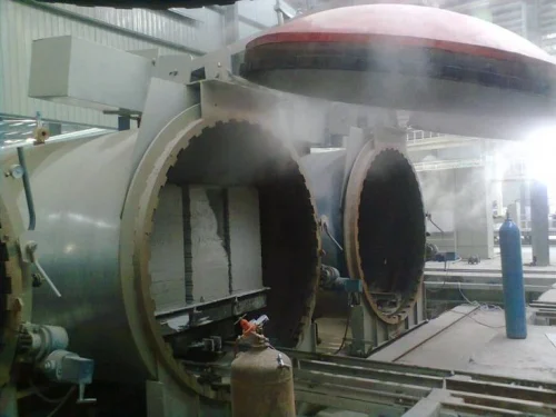 Steam Curing