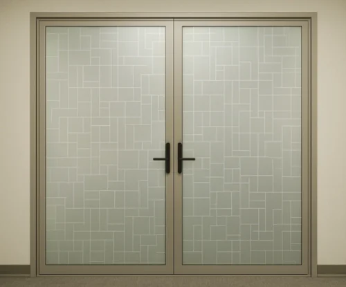 Patterned Etched Entrance Door