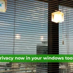 Privacy Window Design Ideas for Urban Living