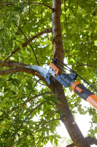 Seasonal Home Maintenance Checklist: Prepare Your Home for the Monsoon