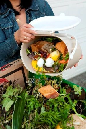 Zero-Waste Kitchen: Top 10 Tips for a More Sustainable Cooking Space