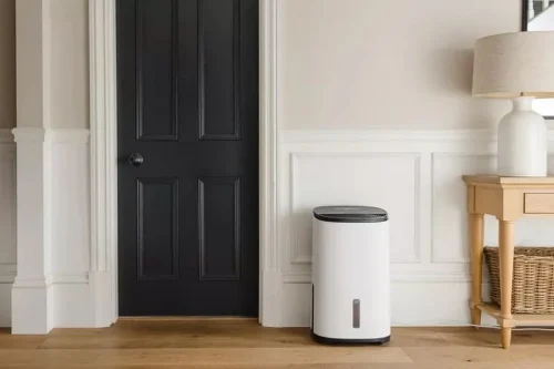 Deep Clean and Dehumidify Indoors