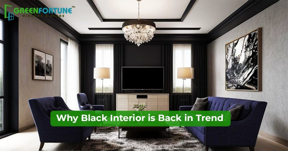 Why Is Everyone Falling for Black Interior Again?
