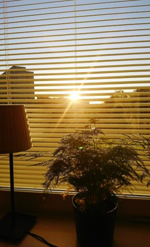 Use Shade to Block Heat