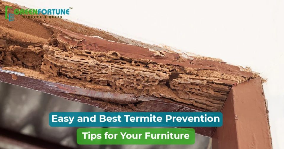 Best Ways to Prevent Termite Damage to Your Furniture