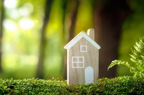 Building Net Zero Energy Homes in India: Cost, Design & Benefits