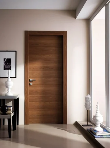 Modern Wooden Doors
