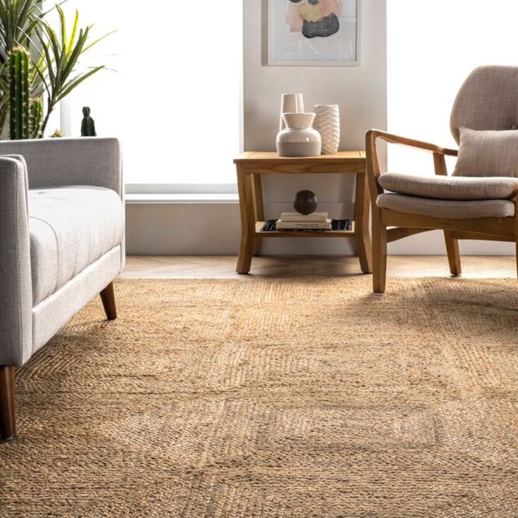 Natural Fiber Rugs for Living Rooms 