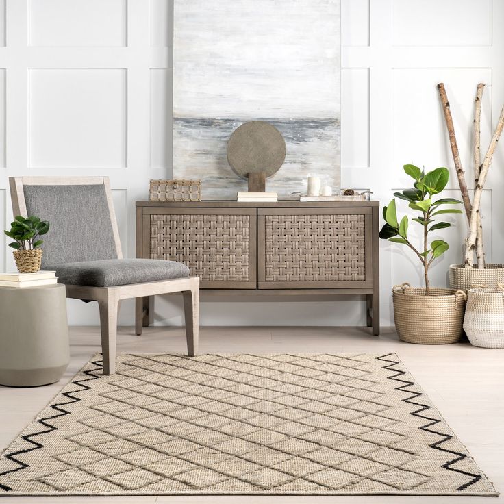 Natural Fiber Rugs for Living Rooms 