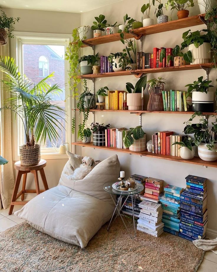 wall Book decoration ideas