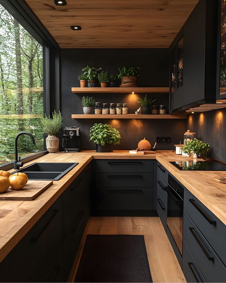 black modular kitchen designs