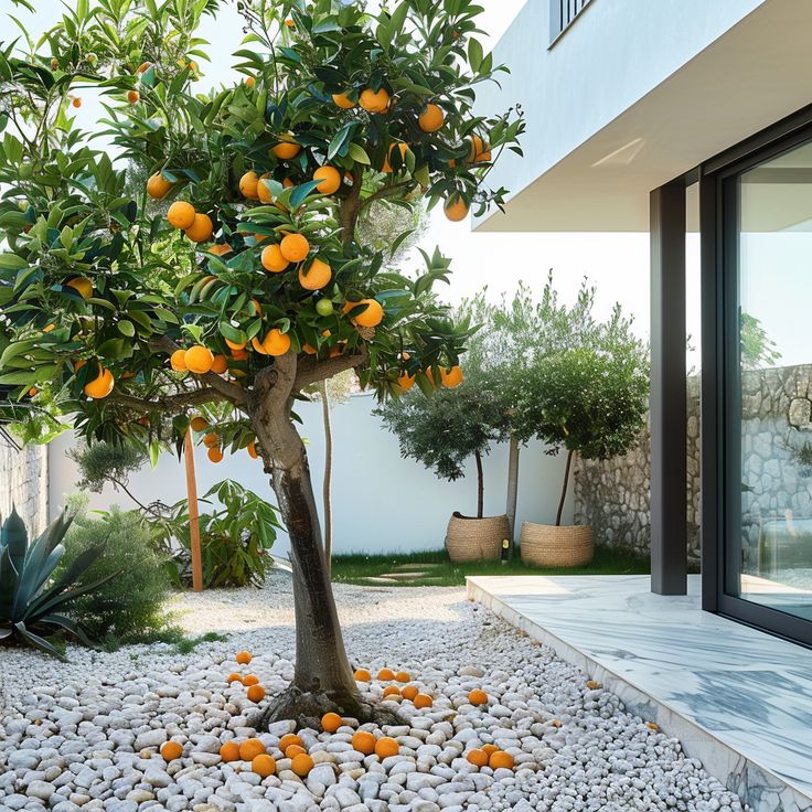 Mediterranean Home Design