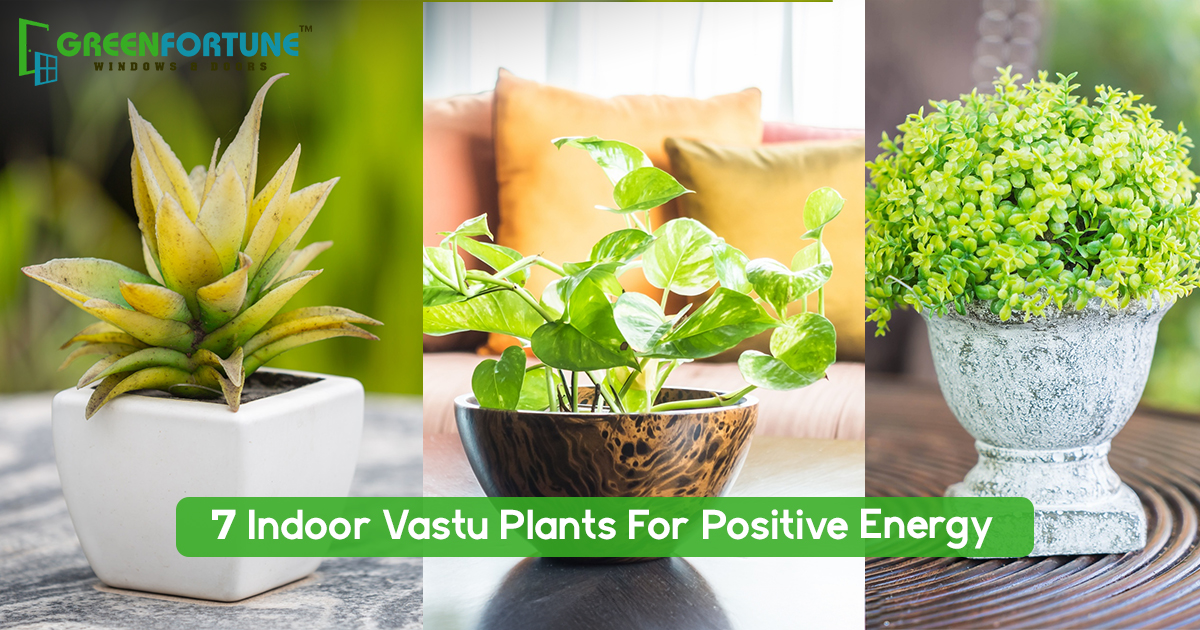 vastu plants