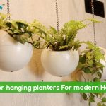 Indoor hanging planters