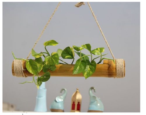 Indoor hanging planters
