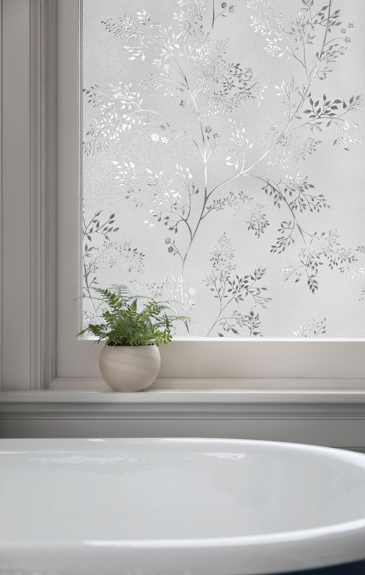 privacy glass windows