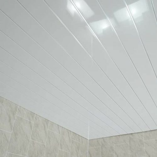 Minimalist Ceiling Design