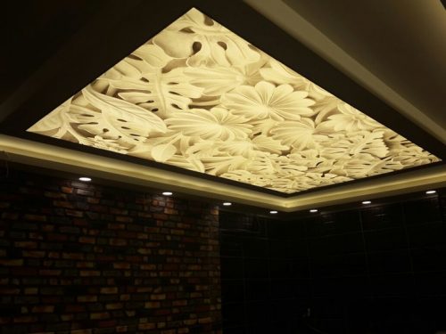 Stretch Ceiling Ideas