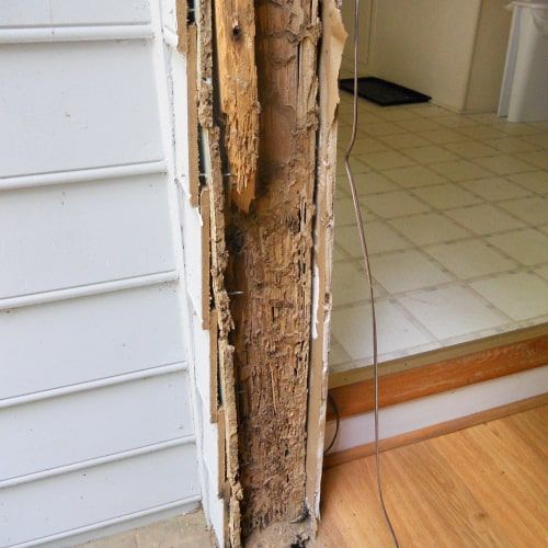 uPVC vs Termites