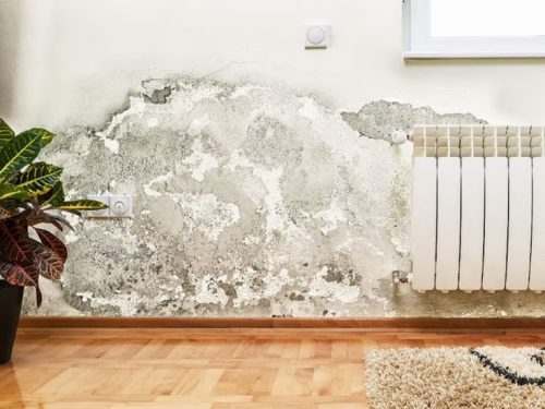 monsoon checklist for homes