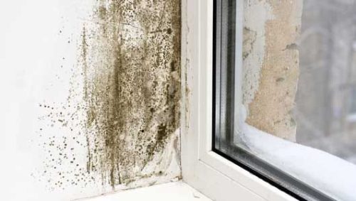 monsoon checklist for homes