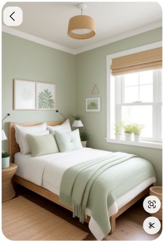 Bedroom Wall Colour Combinations